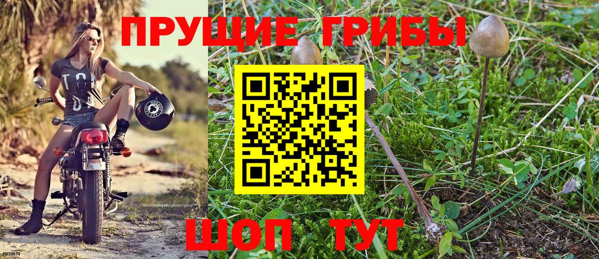 Псилоцибиновые грибы Psilocybe  Вход с VPN  Псилоцибиновые грибы Magic Shrooms  цены   Гуково 